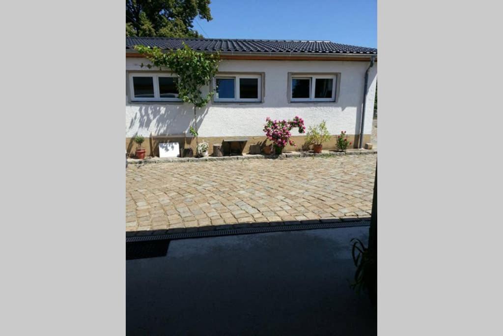 Elegantes Haus Im Dresdner Sueden Villa Bannewitz Kültér fotó
